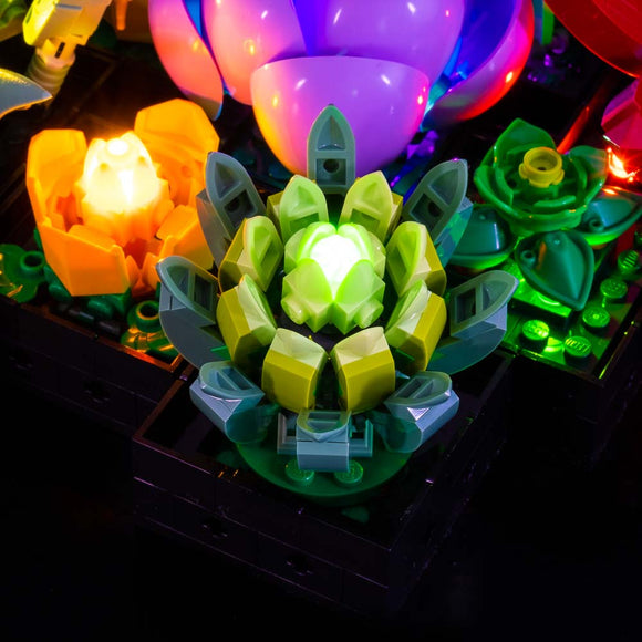 Succulents #10309 Light Kit