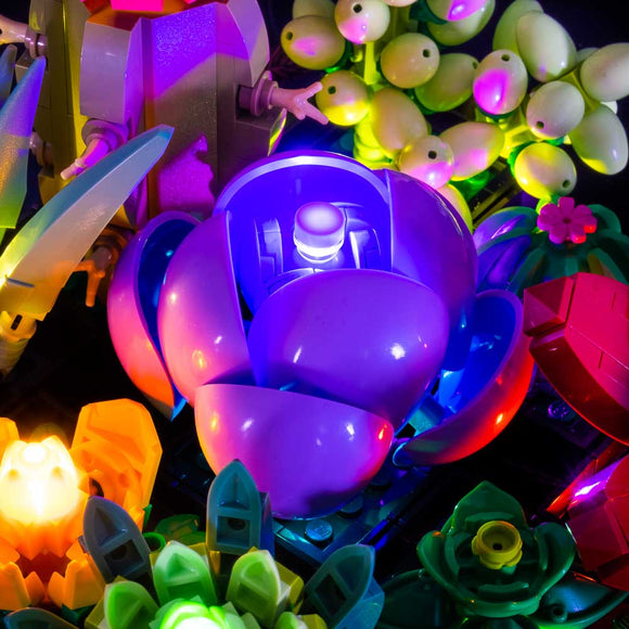 Succulents #10309 Light Kit