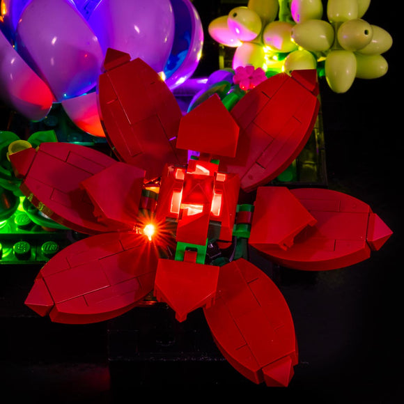 Succulents #10309 Light Kit