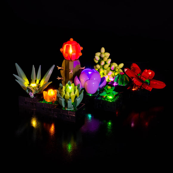 Succulents #10309 Light Kit